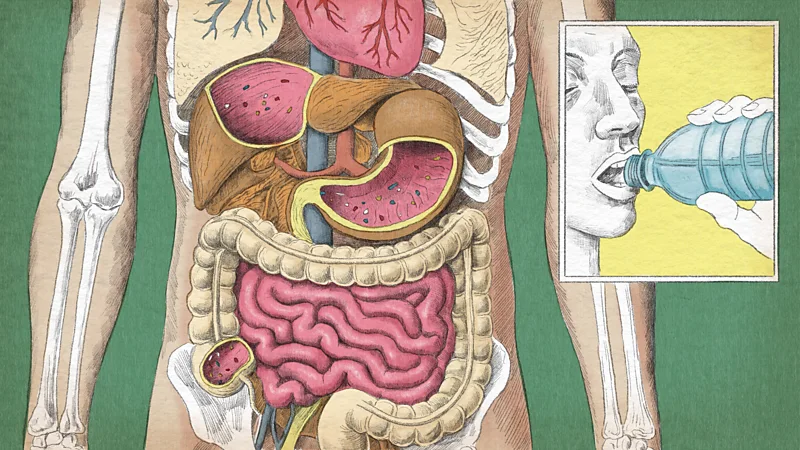میکروپلاستیک‌های چگونه روی سلامت ما تأثیر می‌گذارند؟