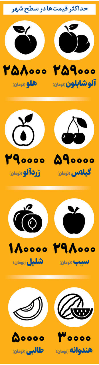 شوک گرانی در بازار میوه / قیمت یک کیلو گیلاس نیم میلیون تومان!