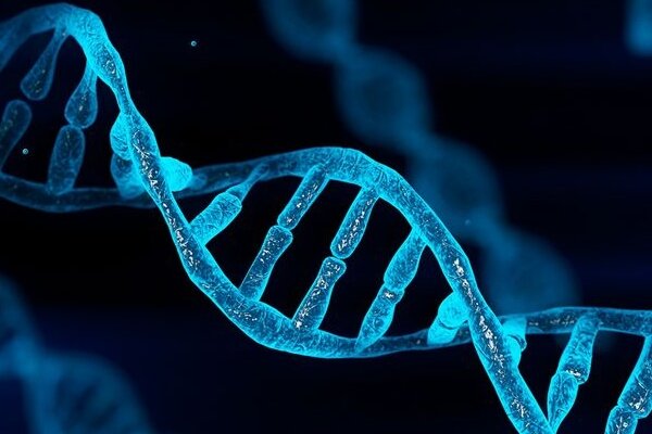 اپی ژنتیک؛ پل ارتباطی بین ژنتیک و محیط زیست