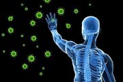 مواد غذایی که سبب تقویت سیستم ایمنی بدن می‌شوند