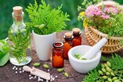 فرش قرمز خراسان‌شمالی برای سرمایه‌گذاران گیاهان دارویی