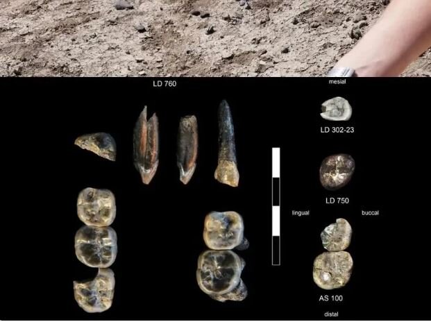 کشف قدیمیترین انسان در اتیوپی! + عکس