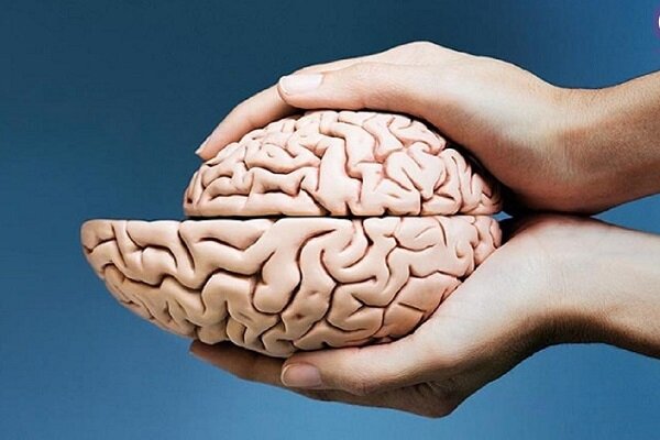 برای حفظ سلامت مغز، یادگیری را رها نکنید برای حفظ سلامت مغز، یادگیری را رها نکنید