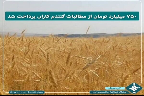 ۷۵۰میلیارد تومان از مطالبات گندم کاران پرداخت شد
