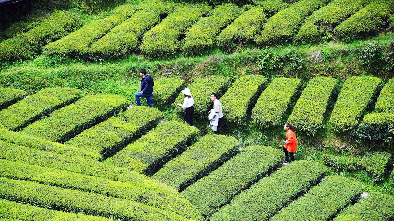 ۵ تجربه الهامبخش برای راهاندازی یک بیزینس گردشگری منحصربهفرد