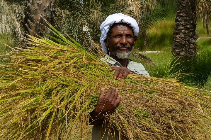 سیستان و بلوچستان، نقطه‌کلیدی توسعه کشاورزی ایران و پاکستان
