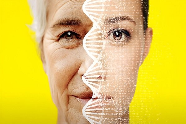 پیری، سفر به دنیای ژن‌ها و اپی‌ژنتیک