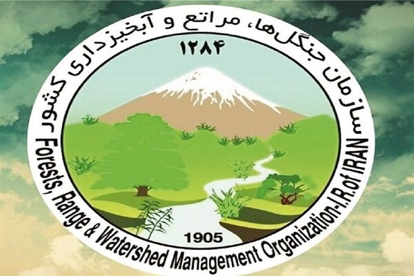 حمله ‌به مامور منابع طبیعی با بیل / ‌انگشت کارمند یگان حفاظت قطع شد