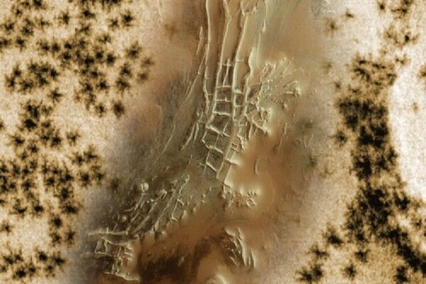 مریخ عنکبوت ندارد!