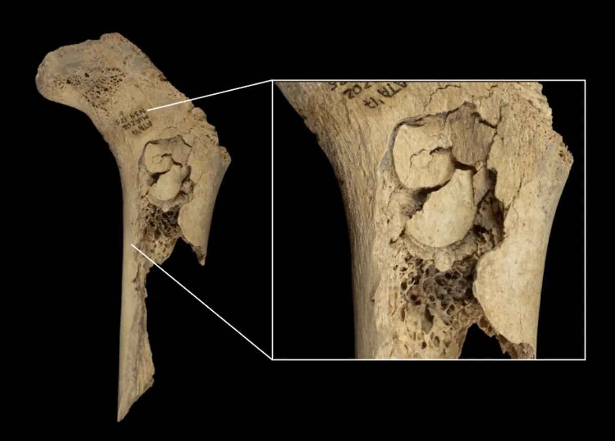 کشف شواهد تاریخی آدم‌خواری در در شمال اسپانیا + عکس