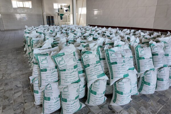 بازدید از شرکت تعاونی آرد فجر در هفته تعاون