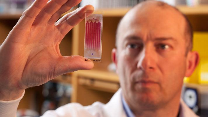 رزومه علمی سه دانشمند برنده جایزه مصطفی(ص)