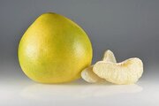 دارابی بزرگ‌ترین میوه در ایران چیست و چه خواصی دارد؟