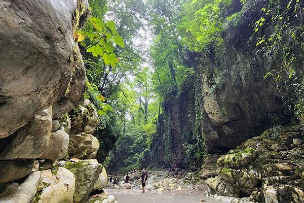۴ تنگه آمازونی نزدیک تهران برای تفریح‌های یک روزه