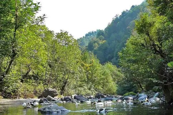 ۶ مقصد خاص از جاذبههای بکر شمال برای سفر در نیمه دوم شهریور