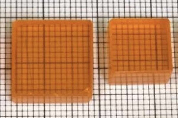 اولین دوربین پروسکایتی می‌تواند درون بدن انسان را ببیند