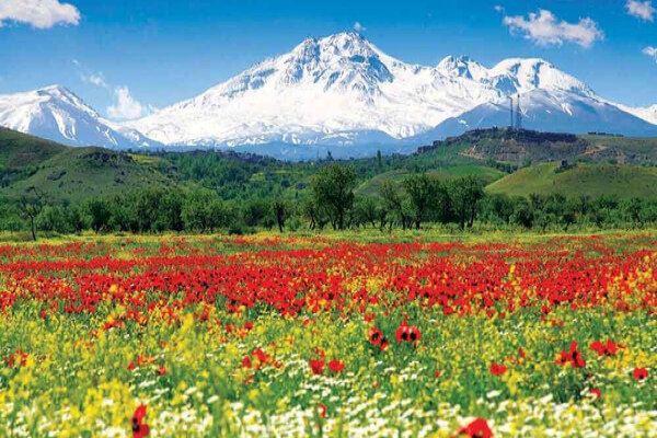 بازدید ۳ میلیون و ۴۲۰ هزار گردشگر از ایران