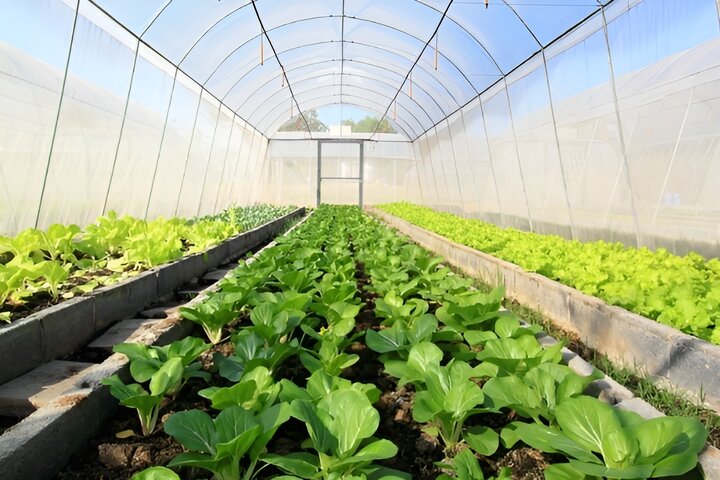 با تامین اعتبار ۶۰ میلیارد ریالی گره گلخانه ساریگل باز شد