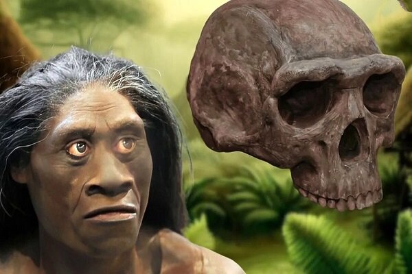 راز انقراض انسان‌های ریزاندام باستانی کشف شد