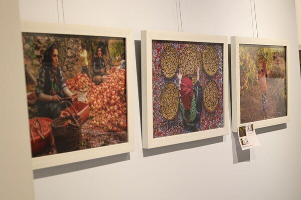 افتتاح نمایشگاه عکس در سنندج