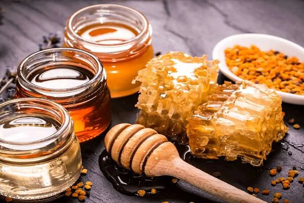 زنبورداری اسدآباد ظرفیت خلق ارزش افزوده برای تولیدکنندگان را دارد زنبورداری اسدآباد ظرفیت خلق ارزش افزوده برای تولیدکنندگان را دارد