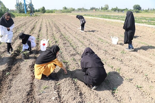 فارغ‌التحصیلی کمتر از ۵۰ درصد دانشجویان کشاورزی و دامپزشکی/ چرا تحقیقات کشاورزی در دانشگاه‌های ایران ناکارآمد است؟