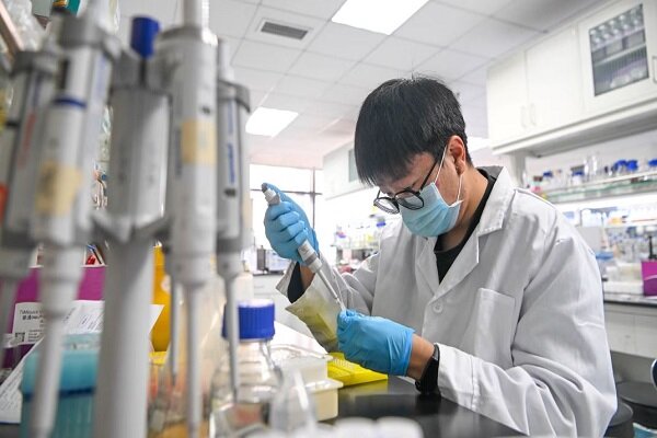 از هاروارد تا تسینگهوا؛ مسیر معکوس مهاجرت علمی