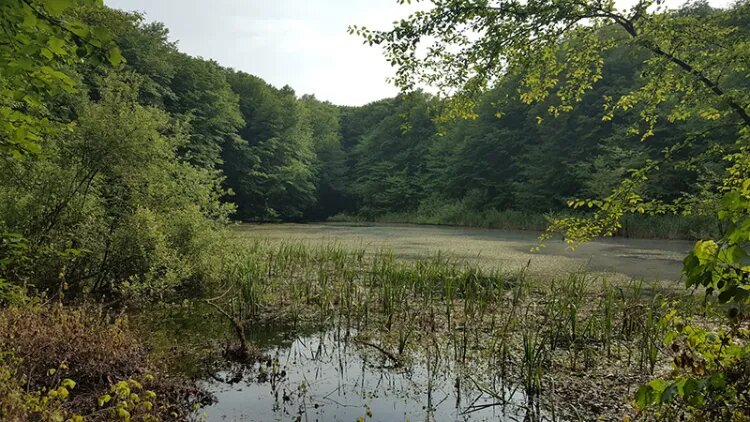 دهکده توریستی برنجستانک کجاست؟