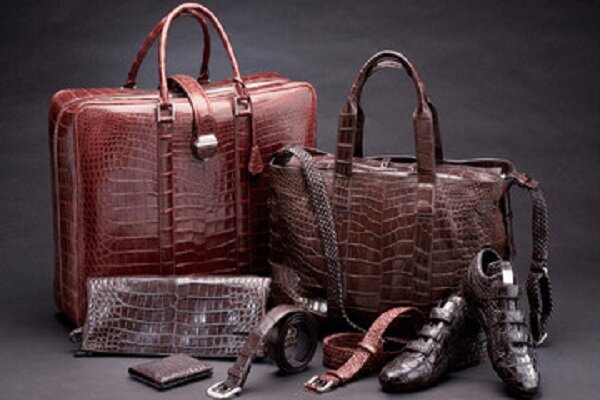 راهنمای انتخاب کیف و کفش چرم اصل + معرفی بهترین برندهای ایرانی