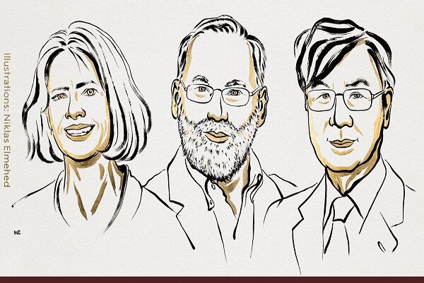 برندگان جایزه نوبل پزشکی 2025 معرفی شدند