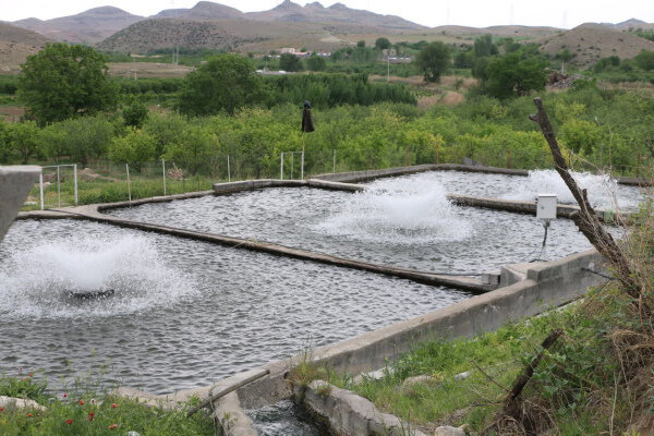 اعطای ۲۳۰ میلیارد تومان تسهیلات حمایتی به مزارع آبزی ‌پروری اردبیل   