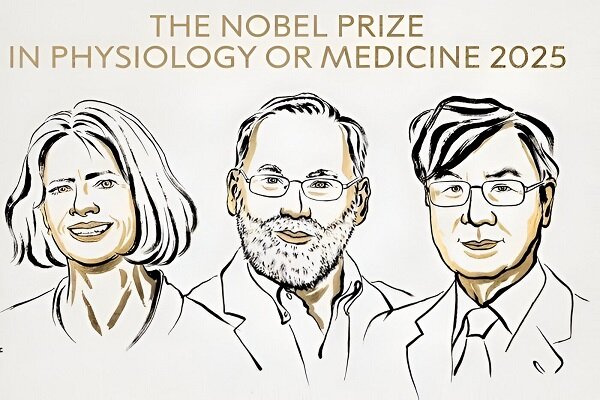 برندگان جایزه نوبل پزشکی ۲۰۲۵ اعلام شدند