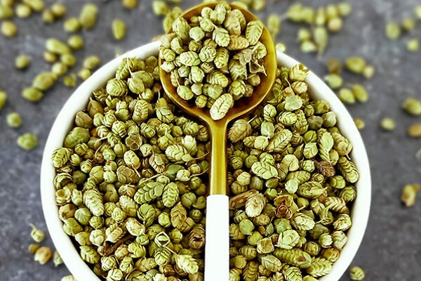 اورگانو چیست و چه خواصی دارد؟