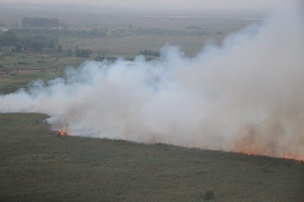 آتش‌سوزی گسترده در تالاب هورالعظیم