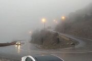 تردد روان در محورهای شمالی/ مه‌گرفتگی و باران در جاده‌های 2 استان