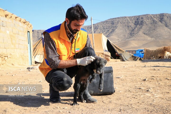 واکسن دام عشایر