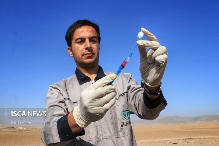 واکسن دام عشایر