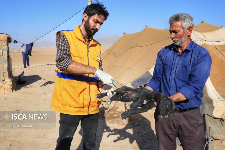 واکسن دام عشایر