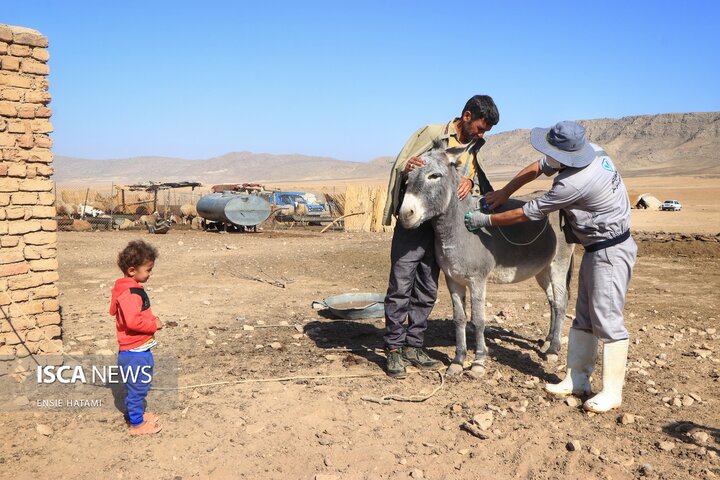 واکسن دام عشایر