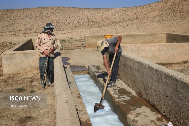 واکسن دام عشایر
