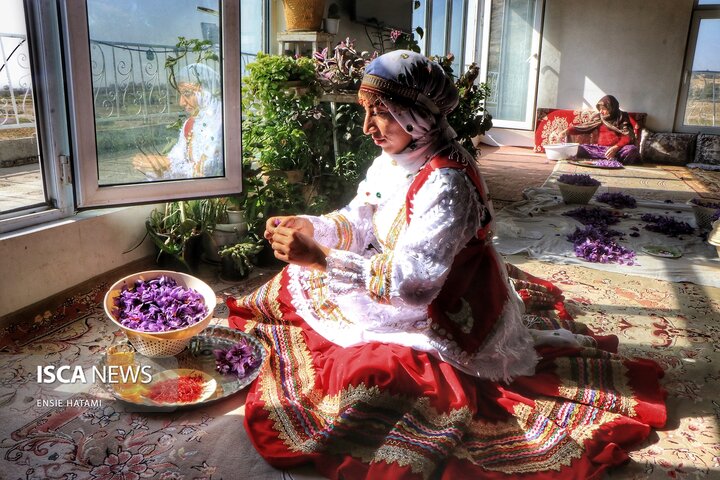 زعفران خراسان شمالی بجنورد