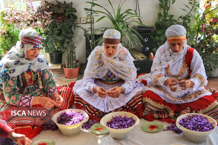 زعفران خراسان شمالی بجنورد