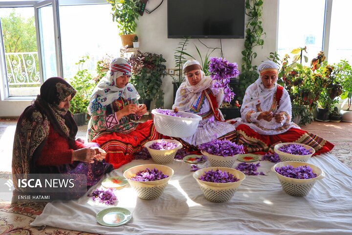 زعفران خراسان شمالی بجنورد