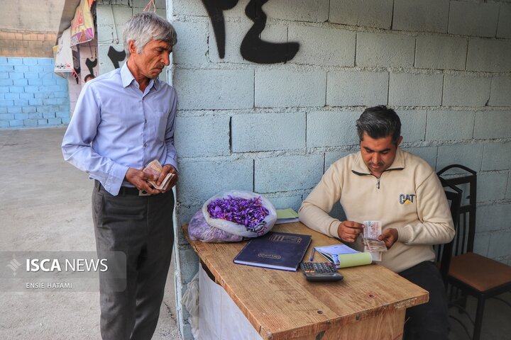 زعفران خراسان شمالی بجنورد