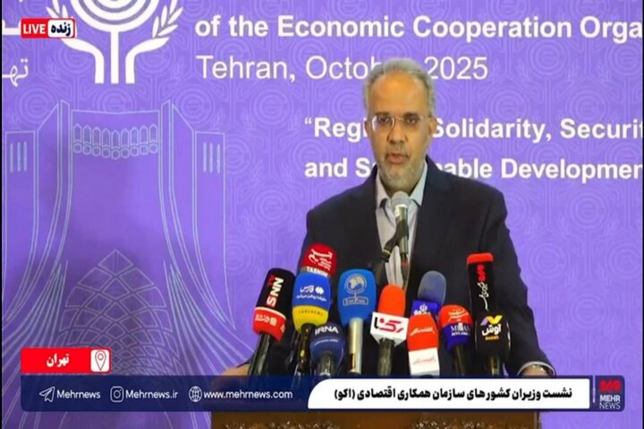 چابهار مسیر امن و اقتصادی دسترسی کشورهای اکو به آب‌های آزاد است