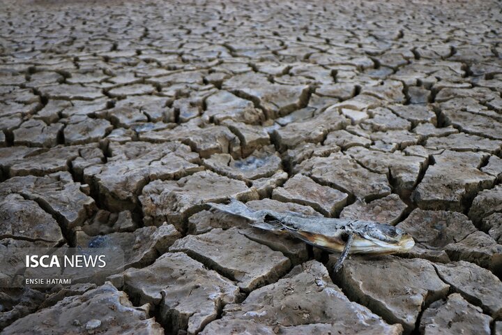 بندعبدل آباد بجنورد