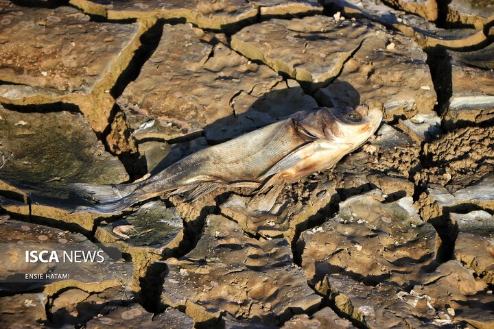 بندعبدل آباد بجنورد