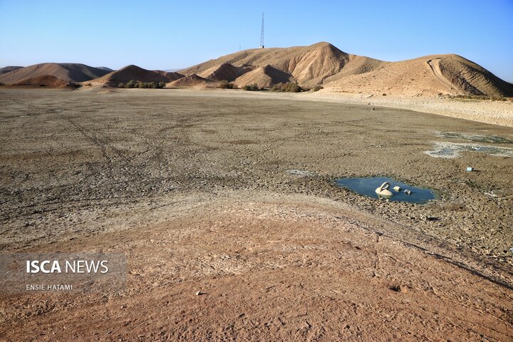بندعبدل آباد بجنورد