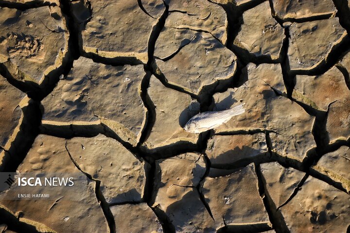 بندعبدل آباد بجنورد