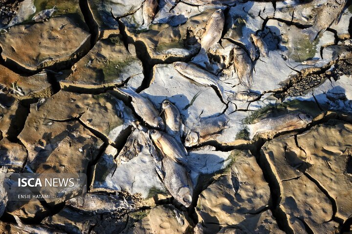 بندعبدل آباد بجنورد